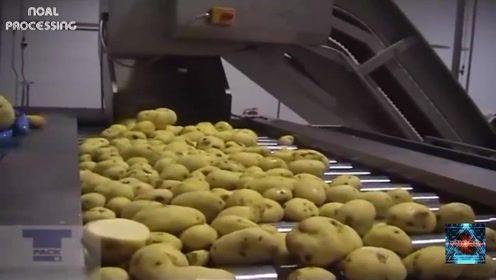 国产薯片生产全过程视频,从田间到餐桌的奇妙之旅
