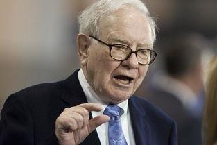 国产巴菲特解说视频大全,视频大全深度解析