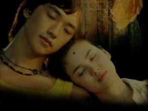 国产女人精品女上位视频,激情演绎女性主导的浪漫时刻