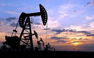 国产原油过山车视频大全,过山车视频大全深度解析