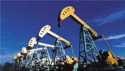 国产原油过山车视频大全,过山车视频大全深度解析