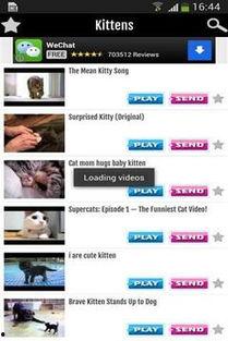 国产猫搞笑视频下载安装,萌宠欢乐时光，一键收藏笑料连连