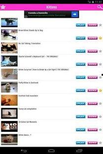 国产猫搞笑视频下载安装,萌宠欢乐时光，一键收藏笑料连连